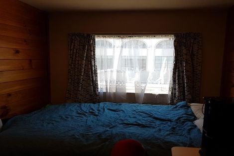 Photo of property in Te Awhina Apartments, 22u3 Sussex Street, Mount Cook, Wellington, 6021