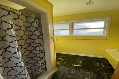 Photo of property in 29 Rimu Street, Maeroa, Hamilton, 3200