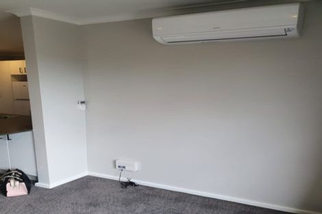 Photo of property in 25u7 Abbotsford Street, Whitiora, Hamilton, 3200
