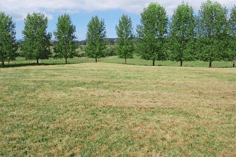 Photo of property in 84 Rangiora Road, Kaiwaka, 0573