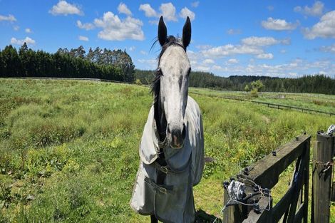 Photo of property in 22 Betty May Drive, Pyes Pa, Tauranga, 3173