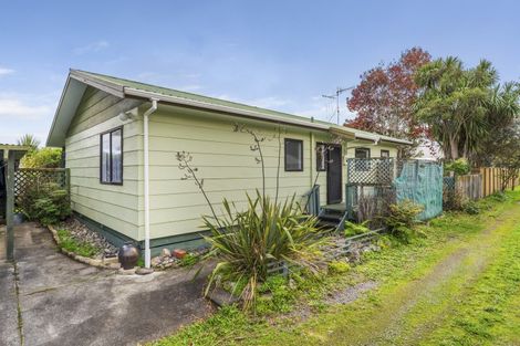 Photo of property in 53a Kirk Street, Otaki, 5512