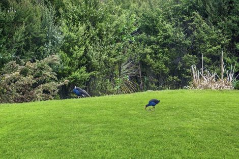 Photo of property in 539 Krippner Road, Puhoi, Silverdale, 0994