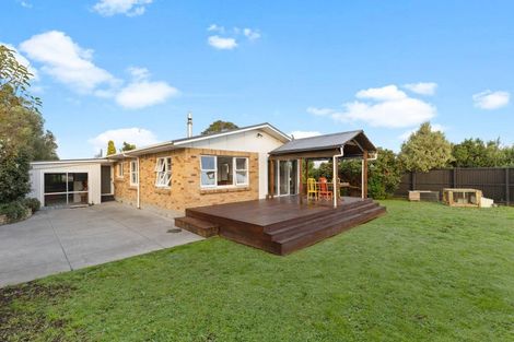 Photo of property in 8 Beatty Road, Matamata, 3400