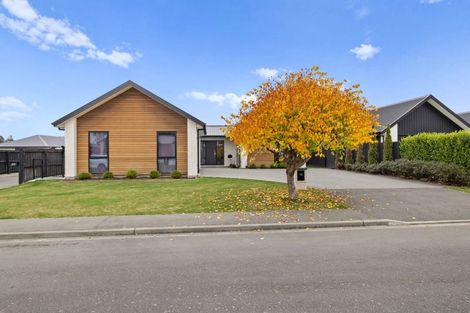 Photo of property in 10 Redhaven Rise, Netherby, Ashburton, 7700