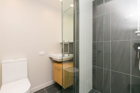 Photo of property in Vsp South, 406/166u Victoria Street, Te Aro, Wellington, 6011