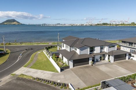 Photo of property in 1/2 Kulim Avenue, Otumoetai, Tauranga, 3110