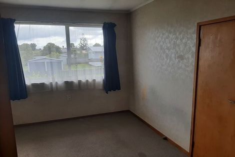 Photo of property in 33 Kaikoura Street, Henderson, Auckland, 0612