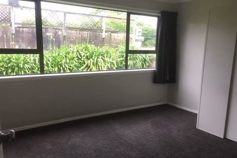 Photo of property in 99 Naylor Street, Hamilton East, Hamilton, 3216