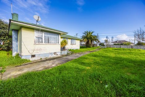 Photo of property in 46 Ferguson Road, Otara, Auckland, 2023