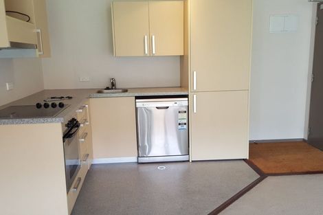 Photo of property in Dual Apartments, 210/142u Vivian Street, Te Aro, Wellington, 6011