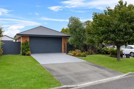 Photo of property in 25b Welsford Street, Woodend, 7610