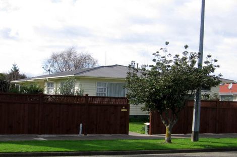 Photo of property in 61 Pitama Road, Awapuni, Palmerston North, 4412