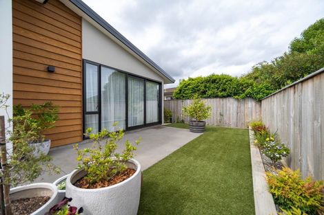 Photo of property in 7 Florence Street, Richmond, 7020