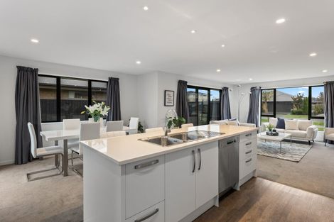 Photo of property in 61 Tauhinu Avenue, Lincoln, 7608