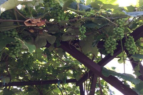 Photo of property in 104 Hays Place, Thames, 3500