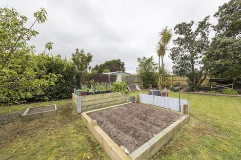 Photo of property in 59 Phillips Street, Sanson, 4817