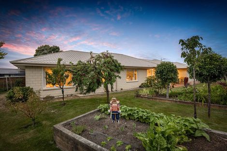 Photo of property in 5 Florin Place, Prebbleton, 7604