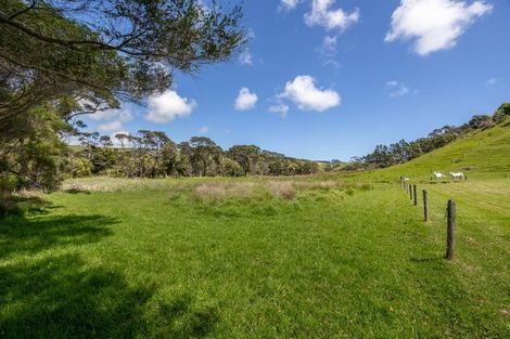 Photo of property in 463 Fordyce Road, Helensville, 0874