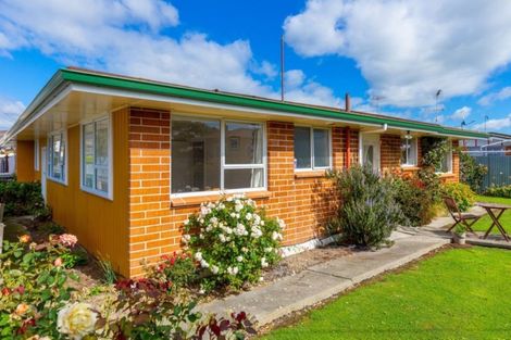 Photo of property in 17a Hale Street, Blenheim, 7201
