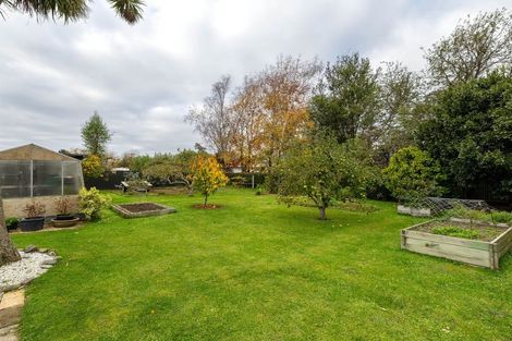 Photo of property in 7 Point Bush Road, Waimate, 7924