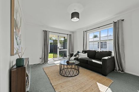 Photo of property in 10a Ihle Street, Terrace End, Palmerston North, 4410