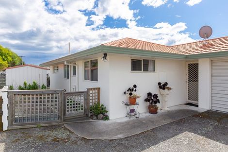 Photo of property in 29a Cubitt Street, Blenheim, 7201