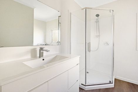 Photo of property in 46 Abbotsford Street, Whitiora, Hamilton, 3200