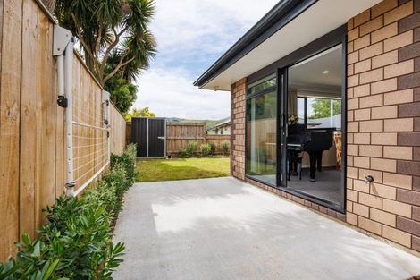 Photo of property in 17 Mccrae Place, Ashhurst, 4810