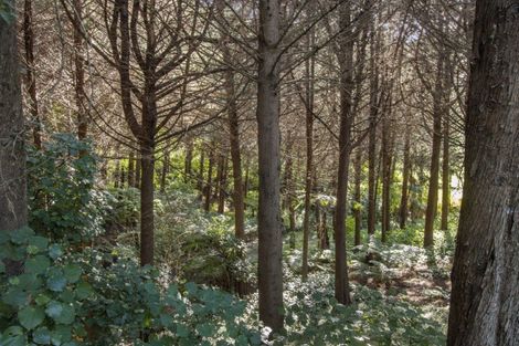 Photo of property in 308 Athenree Road, Athenree, Katikati, 3177