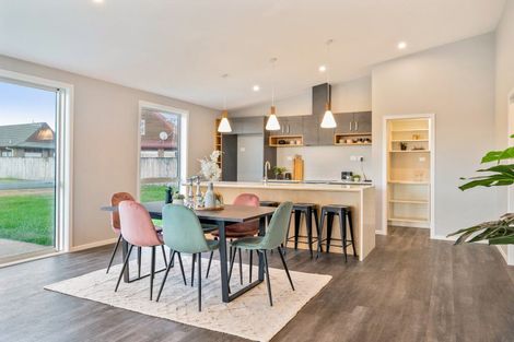 Photo of property in 22 Thorn Street, Levin, 5510