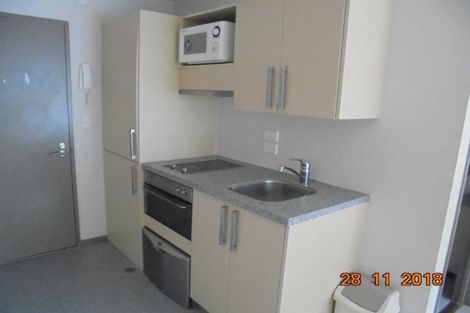 Photo of property in Dual Apartments, 108/142u Vivian Street, Te Aro, Wellington, 6011