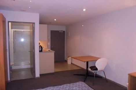 Photo of property in Dual Apartments, 108/142u Vivian Street, Te Aro, Wellington, 6011