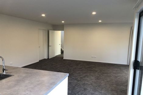 Photo of property in 49 Olliviers Road, Phillipstown, Christchurch, 8011