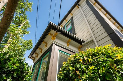 Photo of property in 19 Roy Street, Newtown, Wellington, 6021