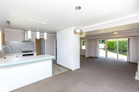 Photo of property in 20a Hartland Place, Welbourn, New Plymouth, 4312