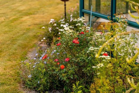 Photo of property in 35 Reading Street, Greytown, 5712