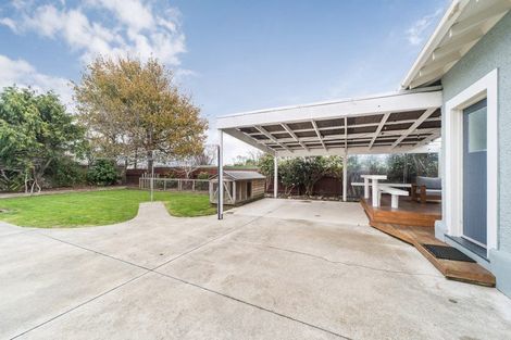 Photo of property in 45 Miro Street, Takaro, Palmerston North, 4410