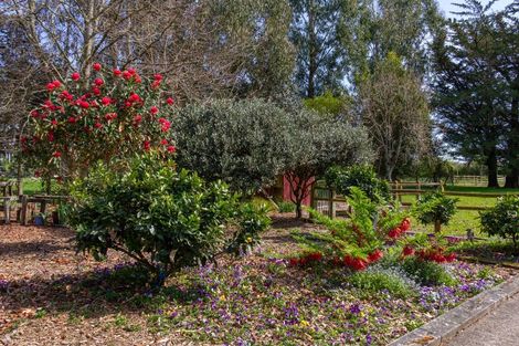 Photo of property in 56 Upper Manaia Road, Upper Plain, Masterton, 5888