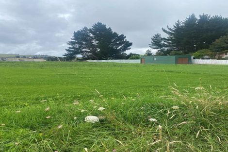 Photo of property in 59 Makohine Lane, Ohingaiti, Kimbolton, 4785