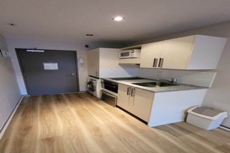 Photo of property in Dual Apartments, 108/142u Vivian Street, Te Aro, Wellington, 6011
