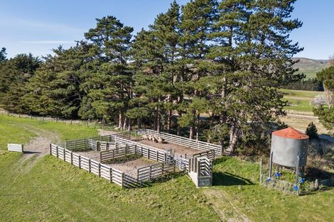 Photo of property in 63 Herema (mckays Road) Road, Toatoa, Opotiki, 3197