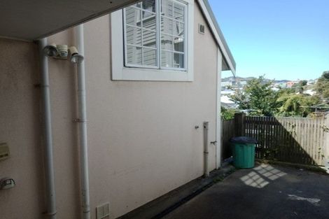 Photo of property in 97 Tasman Street, Mount Cook, Wellington, 6021