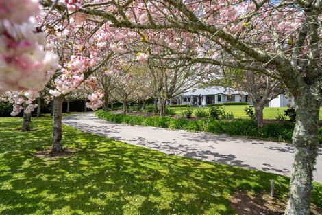 Photo of property in 80 Maungakawa Road, Cambridge, 3496