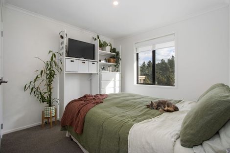 Photo of property in 1 Thorn Road, Waihi, 3610
