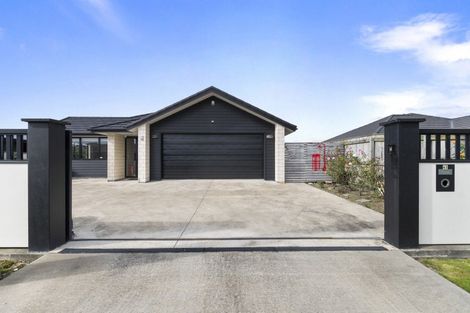 Photo of property in 45 Pharazyn Street, Feilding, 4702