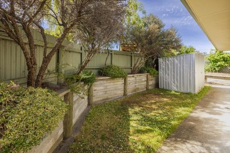 Photo of property in 85a Racecourse Road, Waipukurau, 4200