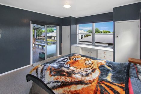 Photo of property in 25 Kauri Place, Pahiatua, 4910