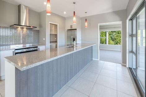 Photo of property in 30c Thompsons Track, Aongatete, 3178