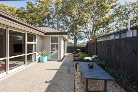 Photo of property in 53 Malone Crescent, Richmond, 7020